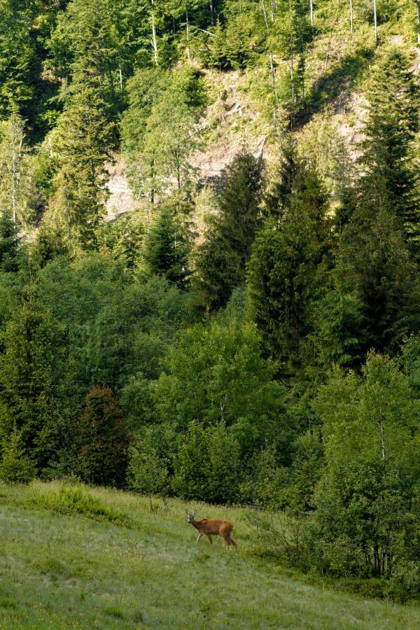 Медовий Двір Nizhnyaya Rozhanka ภายนอก รูปภาพ