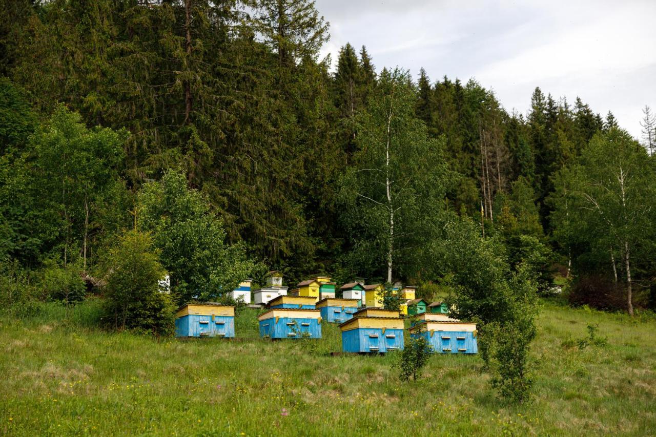 Медовий Двір Nizhnyaya Rozhanka ภายนอก รูปภาพ